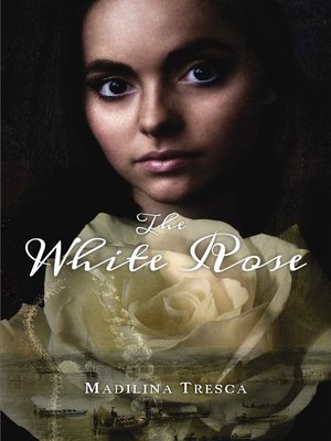 cover image of The White Rose